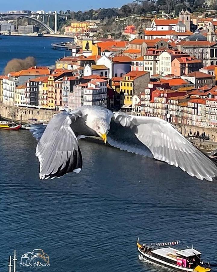 Casa Mira Douro Villa Vila Nova de Gaia Ngoại thất bức ảnh